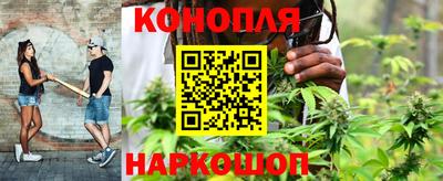 стафф Бузулук