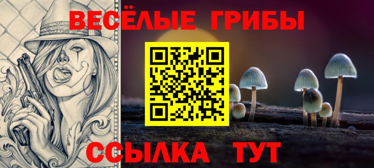 Борисоглебск  Псилоцибиновые грибы Cubensis  Вход с VPN 